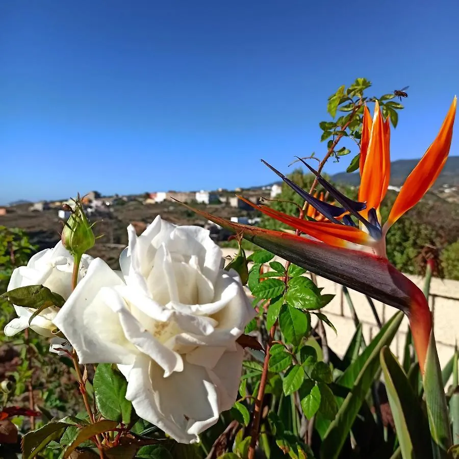 Finca Aurora - Cozy 1-Bed Apartment La Matanza De Acentejo 0*,  西班牙
